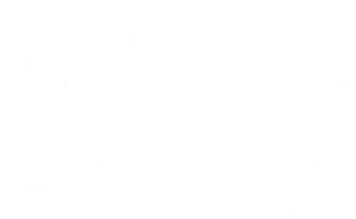 ASE GmbH - Advanced Security Engineering